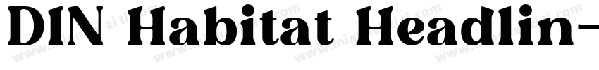 DIN Habitat Headlin字体转换